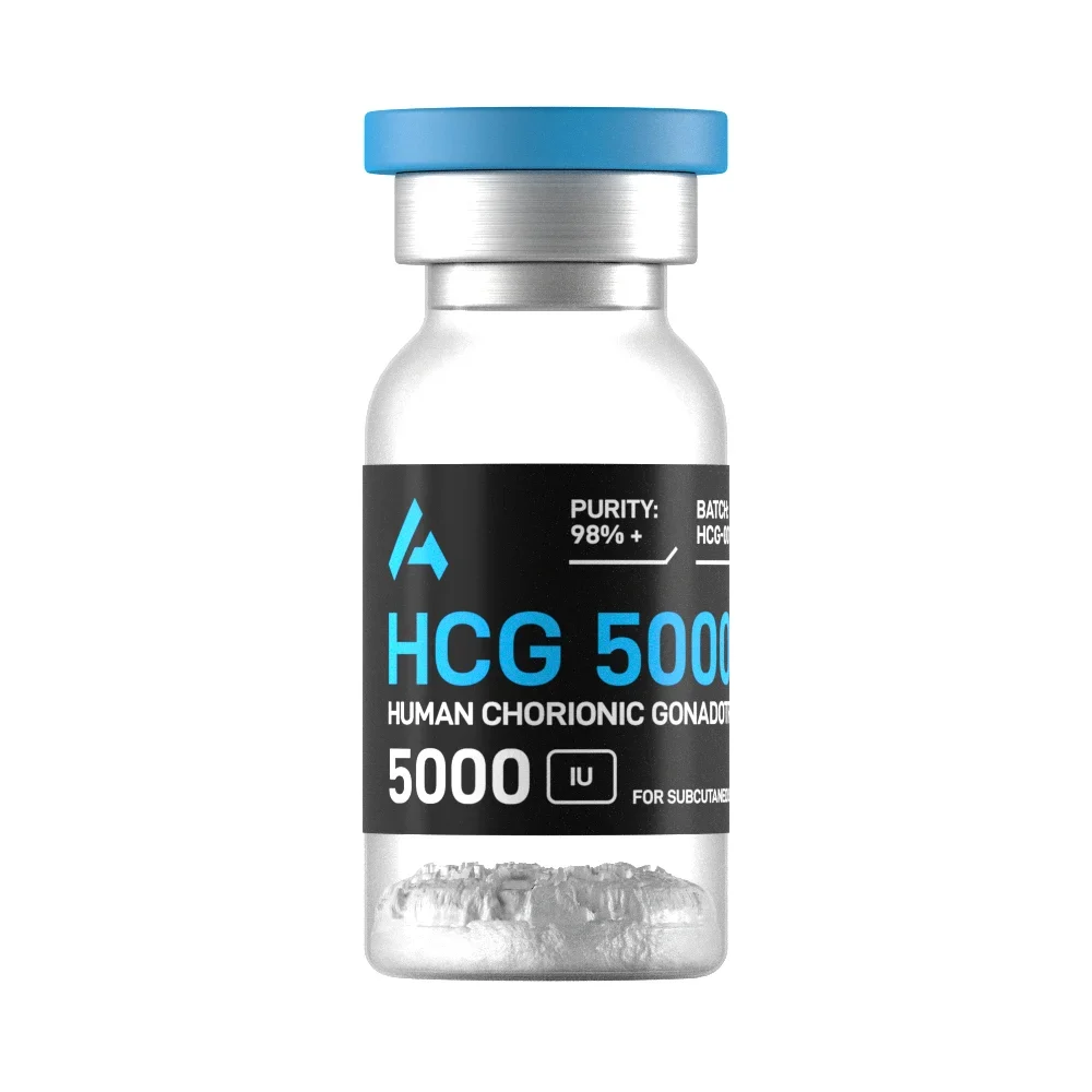 Hcg.webp