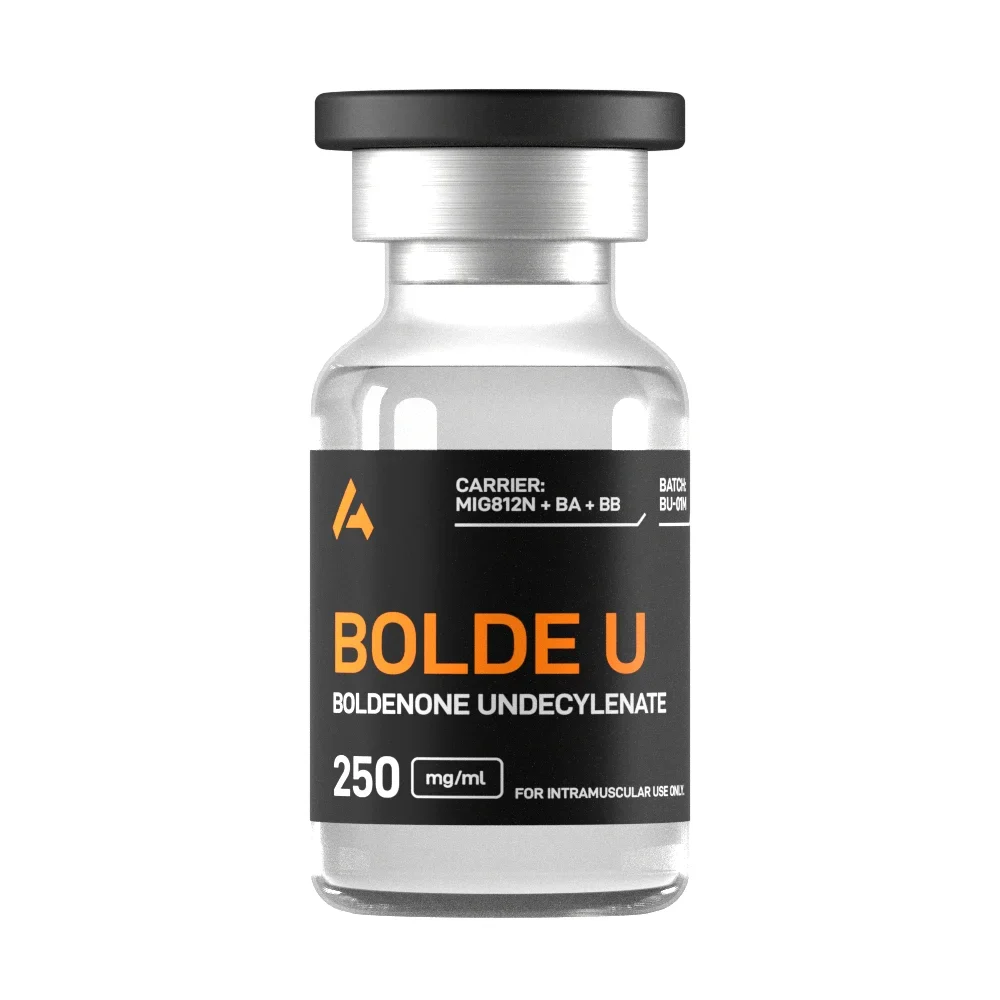 Bolde u 250.webp